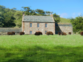 The Dash Farmhouse